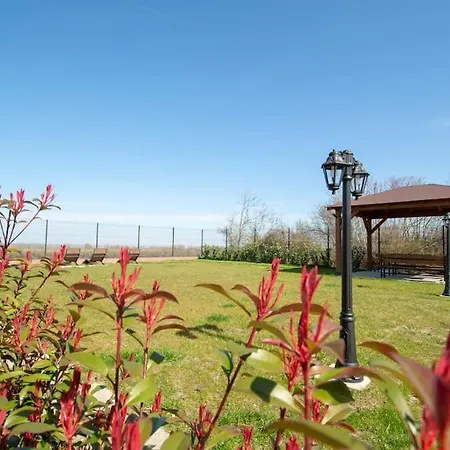 Gardos Bauhaus * ベオグラード